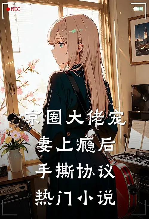 京圈大佬宠妻上瘾后，手撕协议热门小说