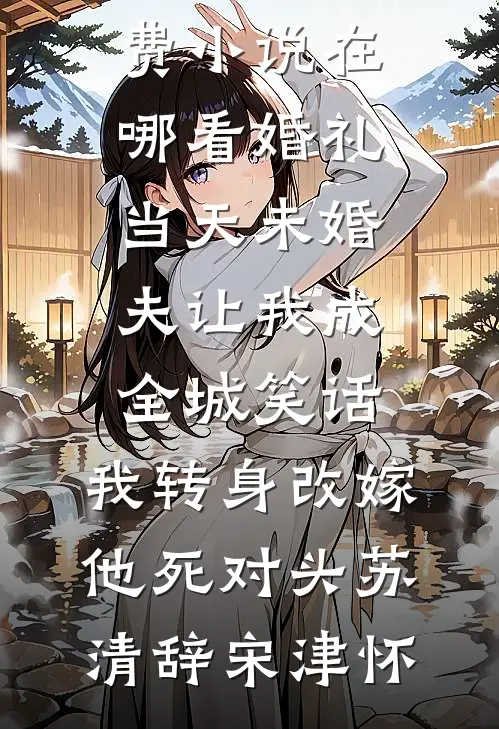 婚礼当天未婚夫让我成全城笑话，我转身改嫁他死对头苏清辞宋津怀完整版免费全文阅读_免费小说在哪看婚礼当天未婚夫让我成全城笑话，我转身改嫁他死对头苏清辞宋津怀