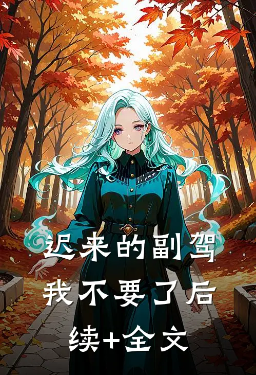 迟来的副驾，我不要了后续+全文