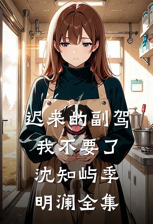 迟来的副驾，我不要了沈知屿季明澜全集