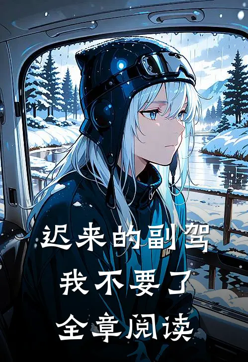 迟来的副驾，我不要了全章阅读