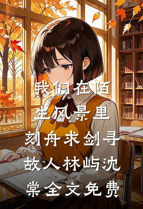 我们在陌生风景里，刻舟求剑寻故人林屿沈棠全文免费