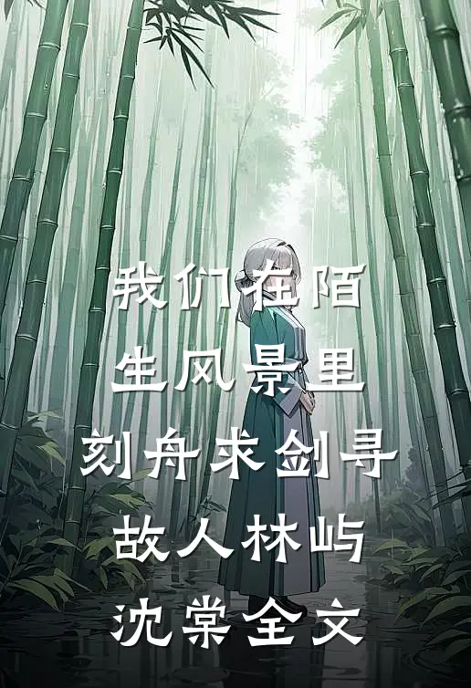 我们在陌生风景里，刻舟求剑寻故人林屿沈棠全文