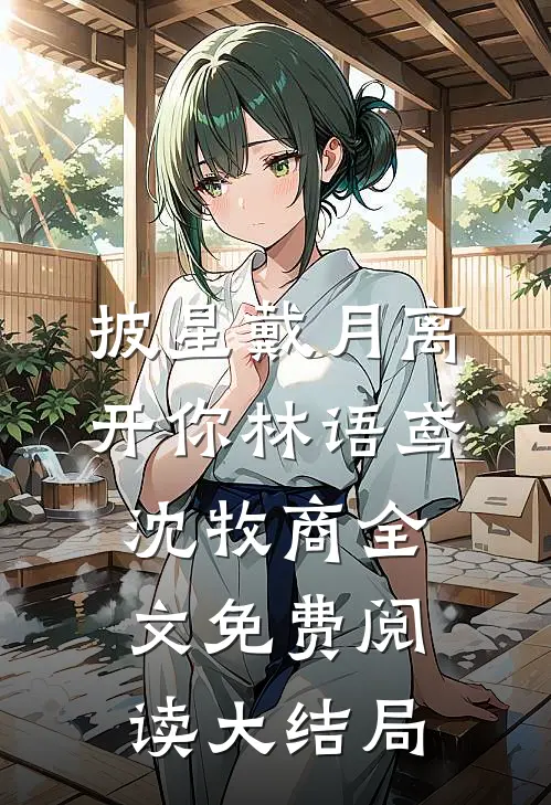 披星戴月离开你林语鸢沈牧商全文免费阅读大结局