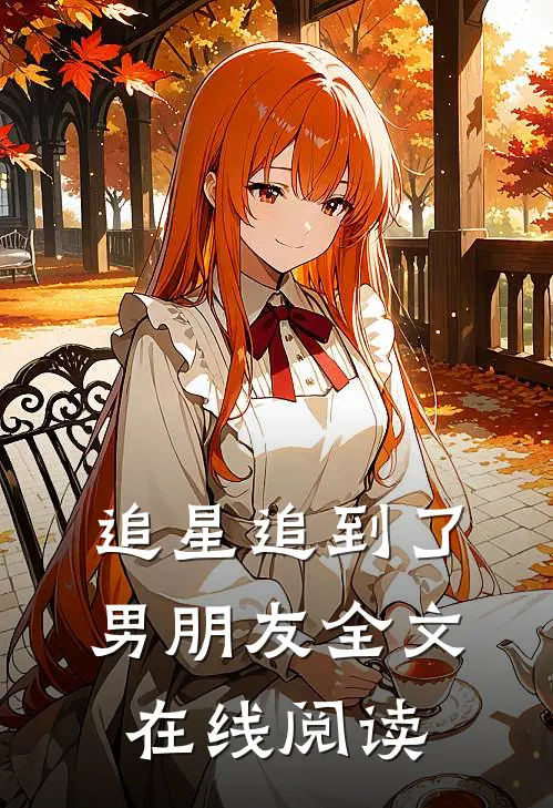 追星追到了男朋友全文在线阅读