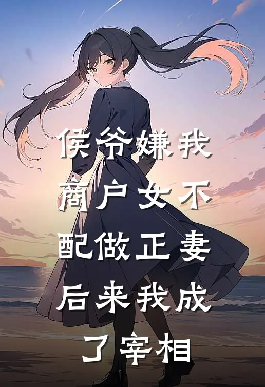 侯爷嫌我商户女不配做正妻，后来我成了宰相