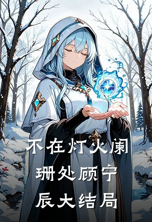 不在灯火阑珊处顾宁辰大结局