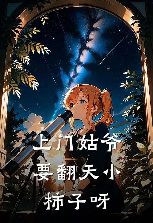 上门姑爷要翻天 小柿子呀
