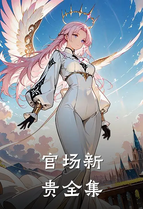 官场新贵全集