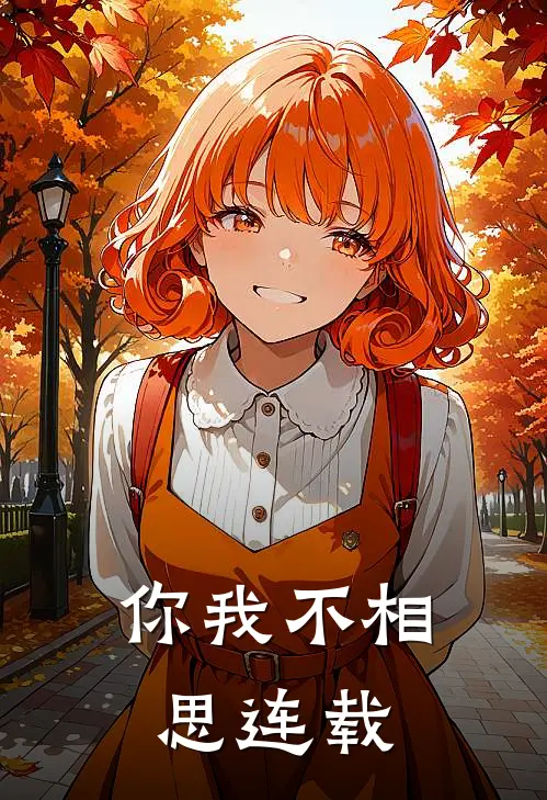 你我不相思连载