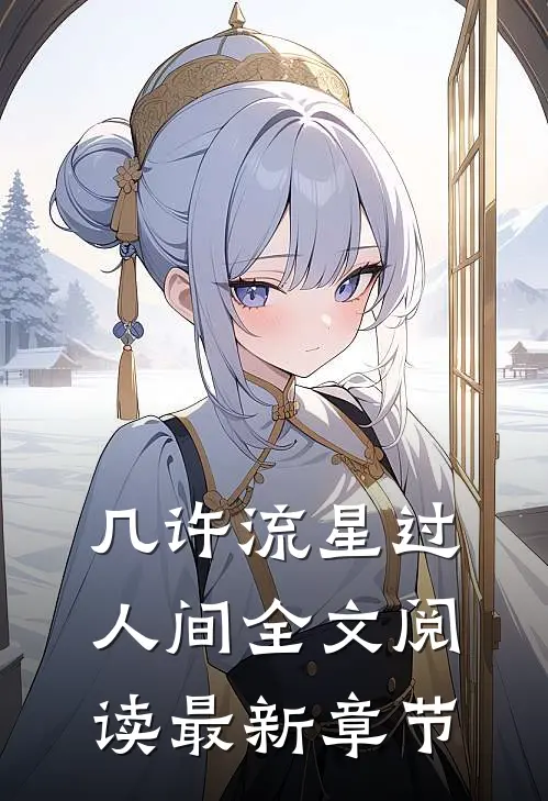 几许流星过人间全文阅读最新章节