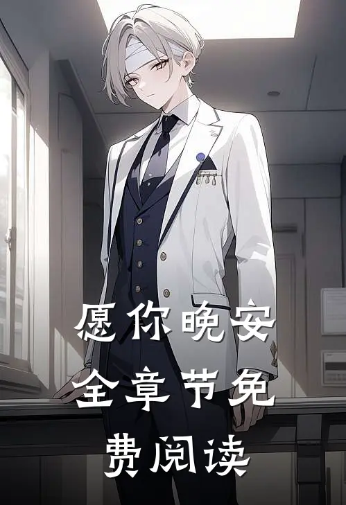 愿你晚安全章节免费阅读
