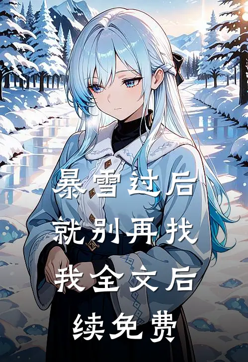 暴雪过后，就别再找我全文后续免费