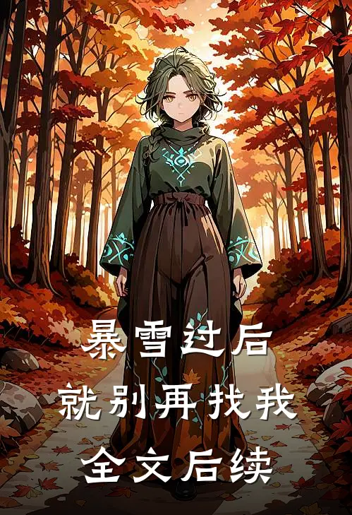 暴雪过后，就别再找我全文后续