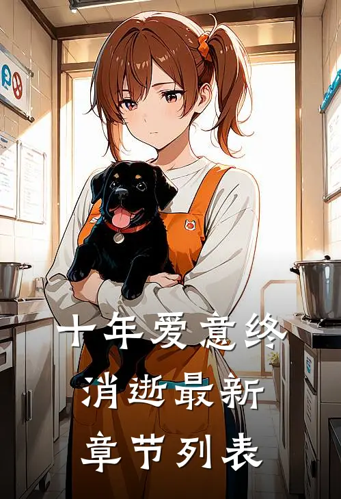 十年爱意终消逝最新章节列表