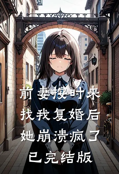 前妻按时来找我复婚后，她崩溃疯了已完结版