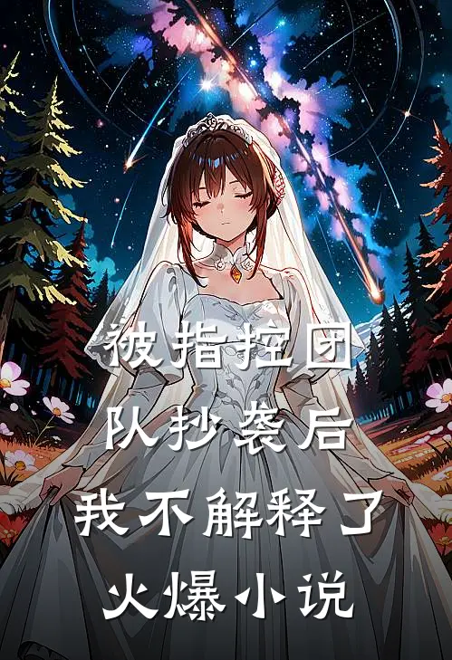 被指控团队抄袭后，我不解释了火爆小说