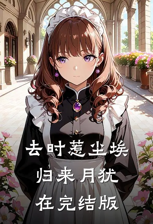 去时惹尘埃，归来月犹在完结版