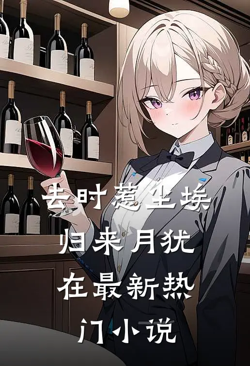 去时惹尘埃，归来月犹在最新热门小说