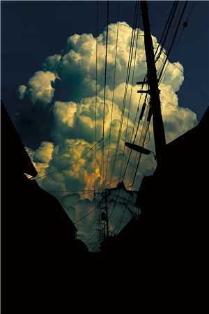 老公偷偷跟寡嫂结婚给她拿绿卡后，他悔疯了于薇傅晋安前文+后续