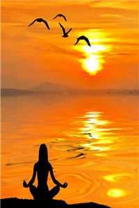 老公横停车位后，我带着20亿离职在线阅读全本阅读