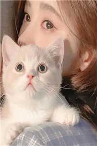 千帆过尽，此生非晚新上热文