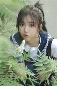 情起为迷局，爱尽只余灰小说免费