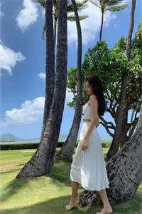 待到落雪寒枝头全文无删减