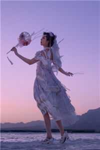 晚星陨落再无夏后续+结局