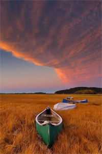 凝脂美人穿七零，糙汉养崽洗床单精修版