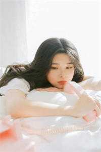 教书先生，朕的江山你说了算！陈文大夏完结文