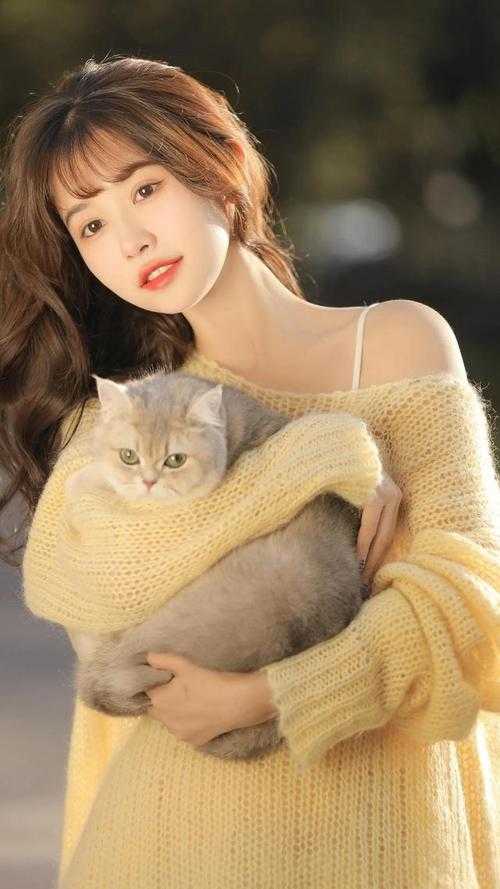 青山旧梦不重逢完整阅读