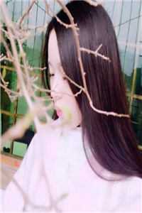 前女友欠我200块，她死后我追债追到地府！人气小说