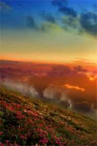 云满春山关残月良心推荐