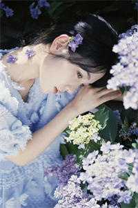 当观水月，莫怨松风全文+后续