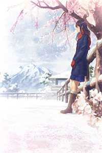 新帝上位，第一道圣旨是强夺表妹全文免费