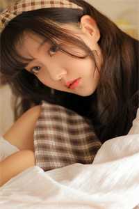 几程风月，岁岁年年最新热门小说