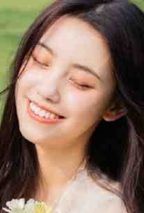 一夜星河入梦来广告+结局