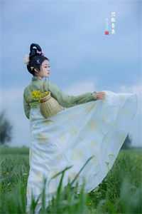 燕归来兮有憾时优质全文阅读