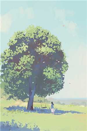 随星，随月，随清风免费