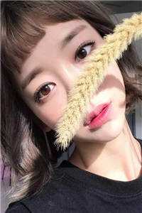 乱世红颜系统？美人们我来了在线阅读全本阅读