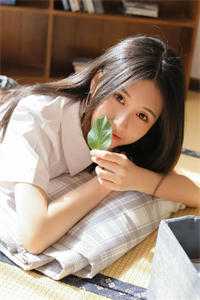 此后晚风皆是你全文+免费