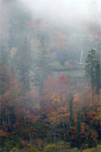 此后晚风皆是你完本