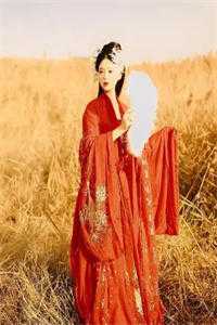 星垂平野独自明全文章节