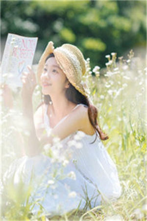 半盏花灯枕明月无删减版