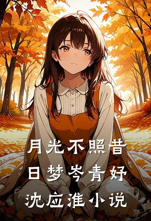 月光不照昔日梦岑青妤沈应淮小说