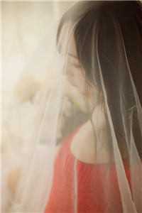 春寒料峭并刀锋霍知行沈清冉全文免费