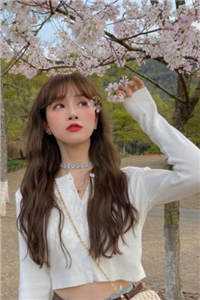 云烟故去，此身是客免费