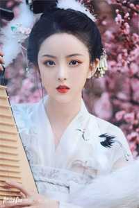 深夜电台不再回信畅读