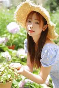 长风万里不递书目录